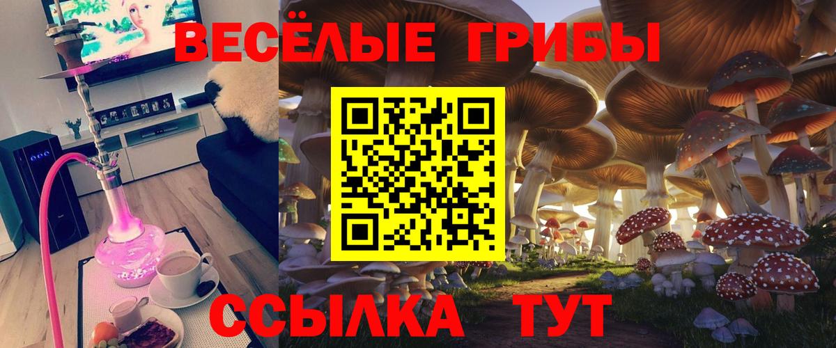Псилоцибиновые грибы GOLDEN TEACHER  Вход с VPN  Петрозаводск 
