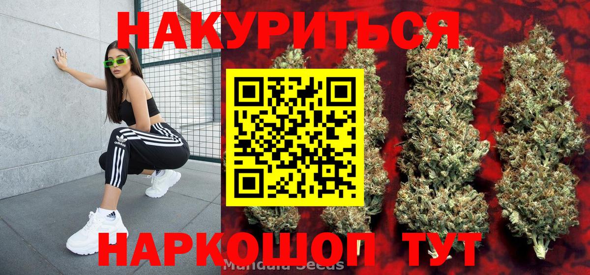 Канабис сатива Петрозаводск